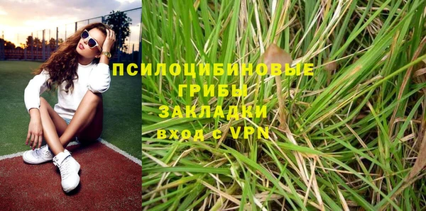 твердый Липки