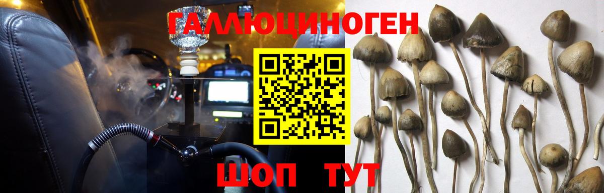 Радужный  Псилоцибиновые грибы Psilocybine cubensis  Вход с VPN  Галлюциногенные грибы Psilocybe 